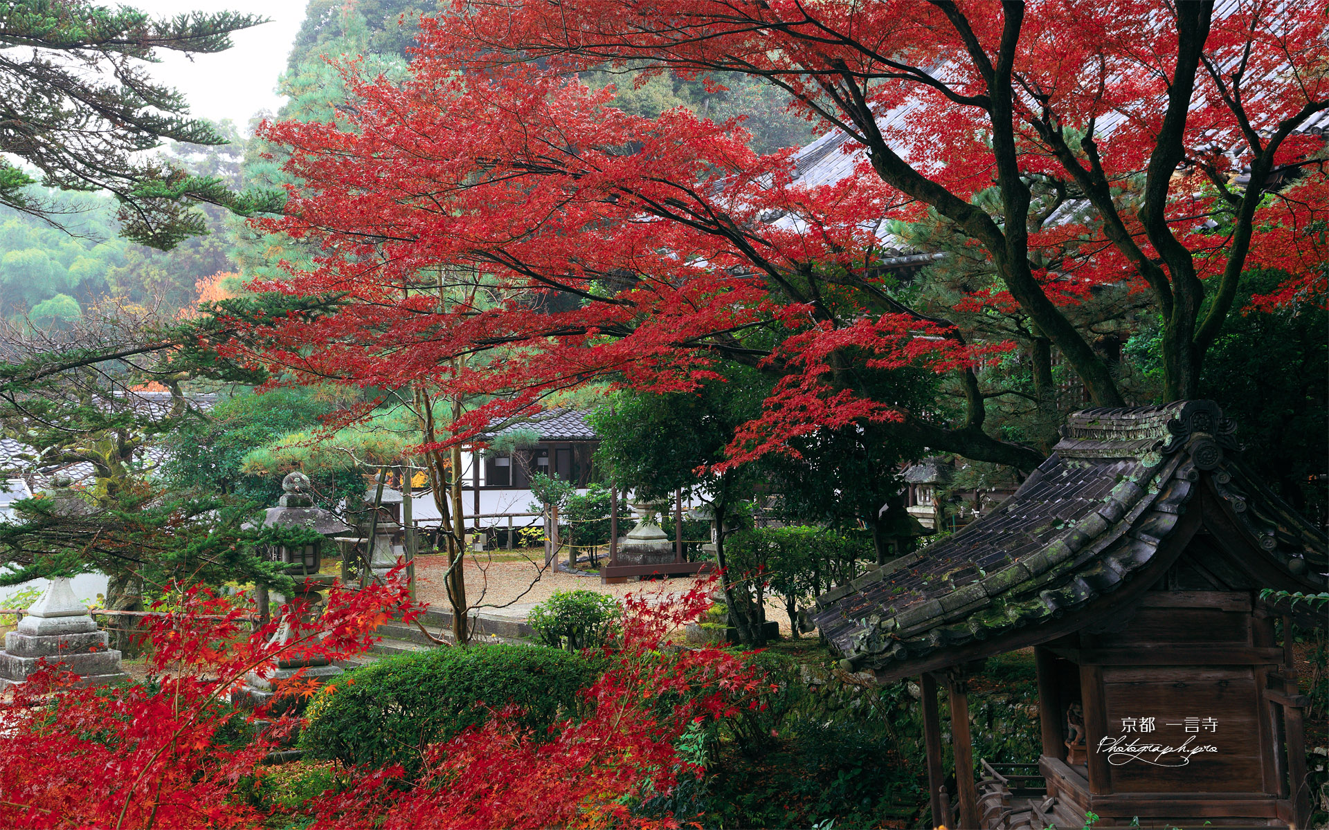 一言寺 弁天堂と紅葉