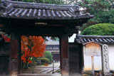法界寺 山門越しの紅葉