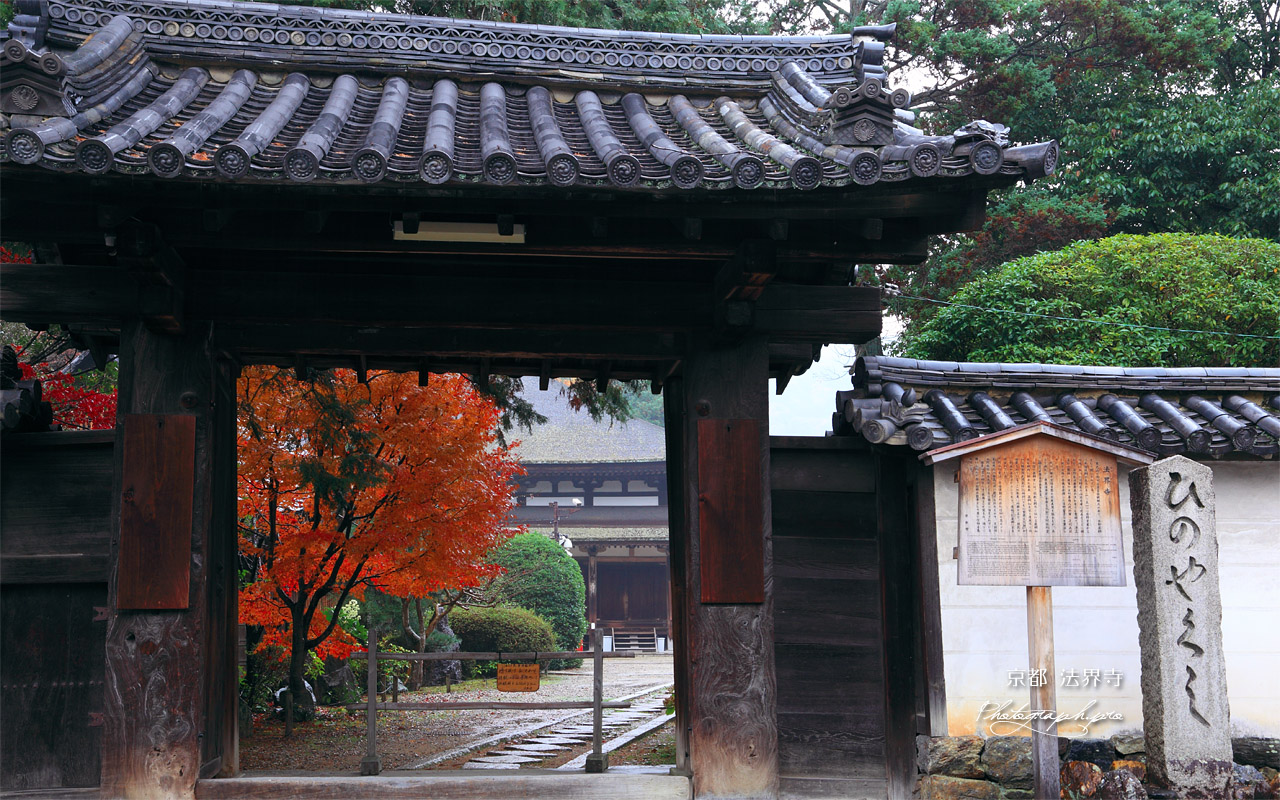 法界寺 山門越しの紅葉 壁紙