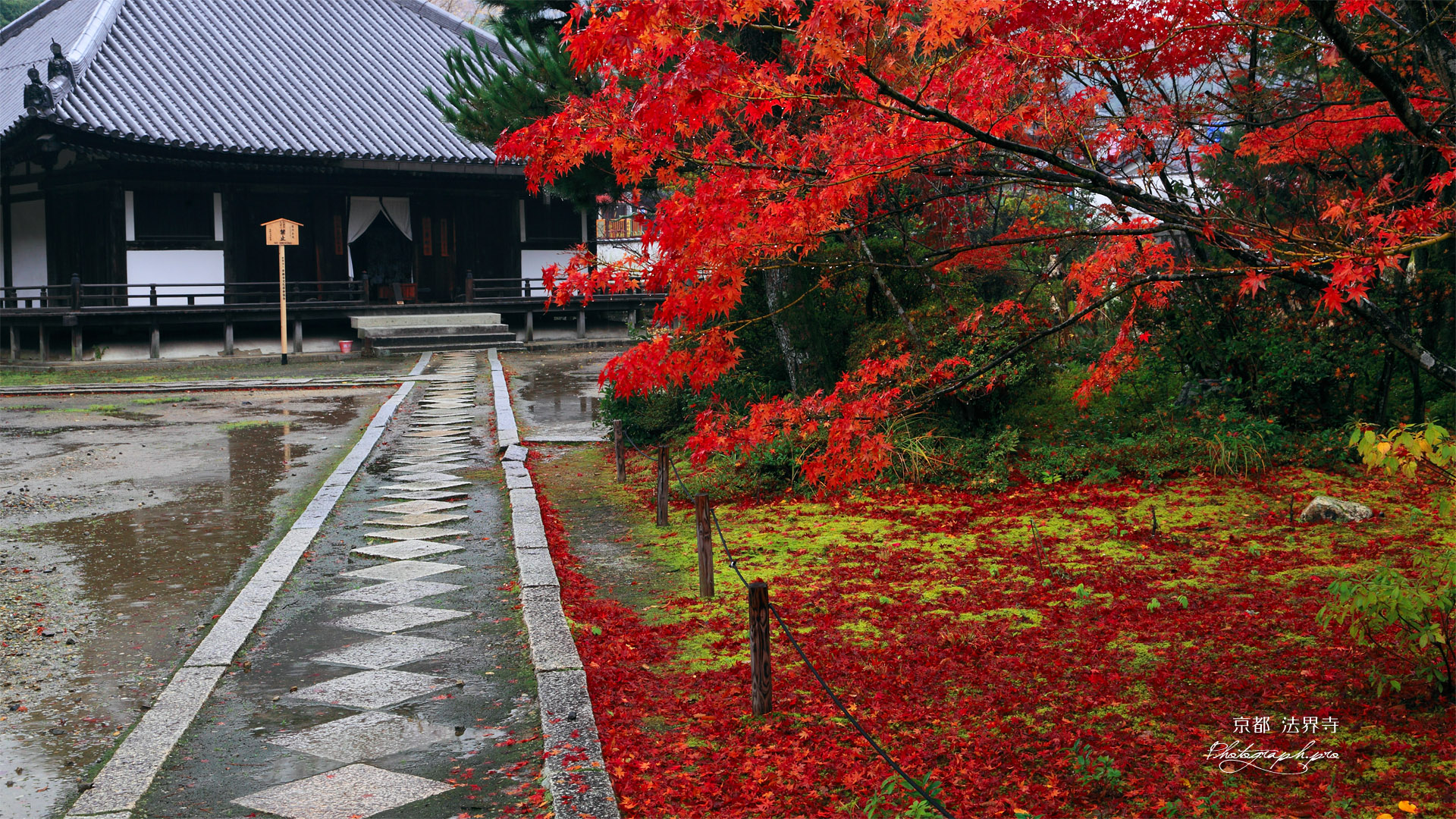 法界寺 紅葉と薬師堂