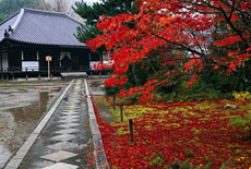 法界寺