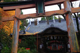許波多神社 イチョウ黄葉と社殿