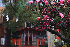 許波多神社