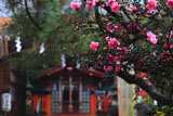 許波多神社