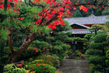 萬福寺 龍興院の紅葉
