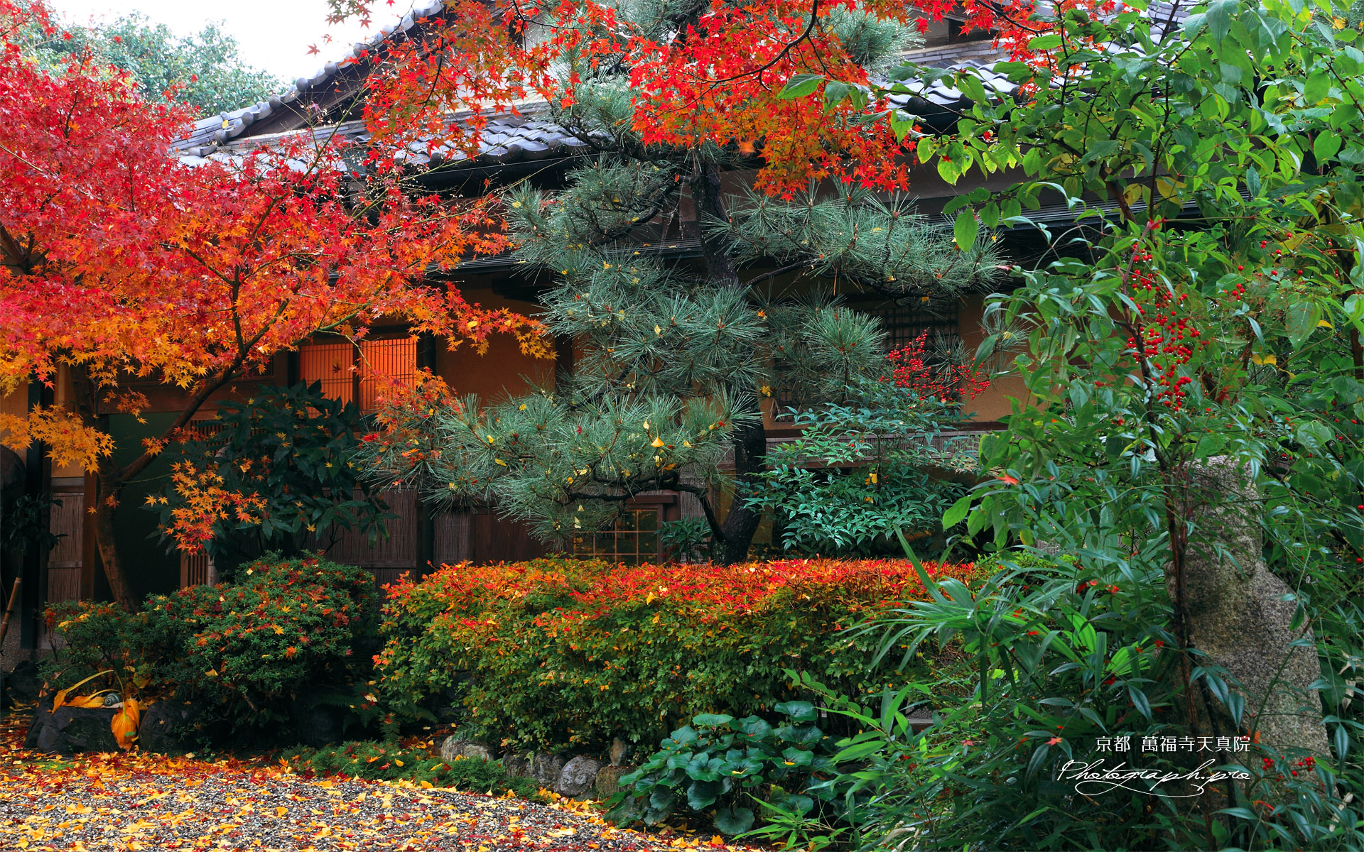 萬福寺 銀杏庵の紅葉