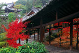 萬福寺 回廊の紅葉と開山