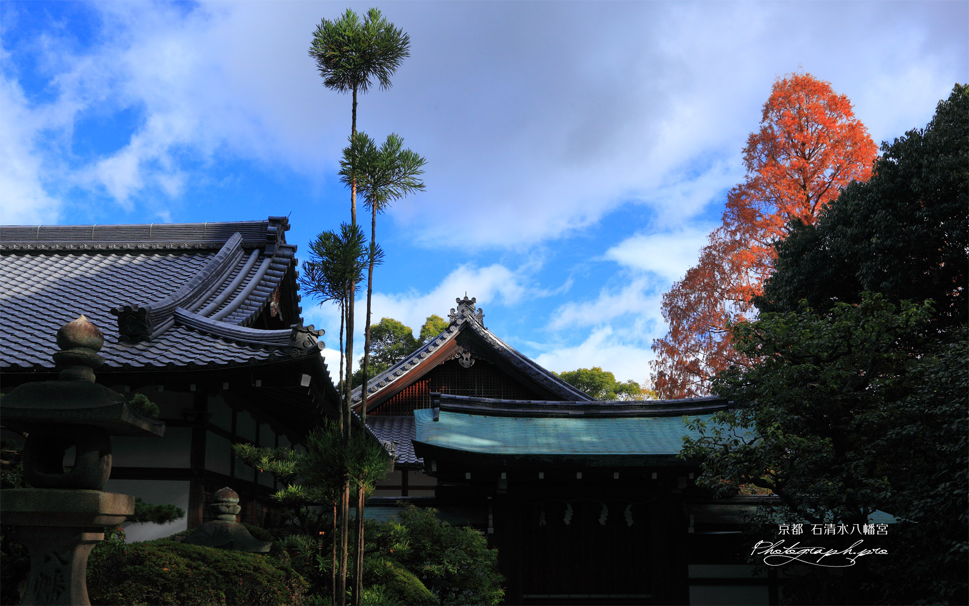 石清水八幡宮 紅葉の書院