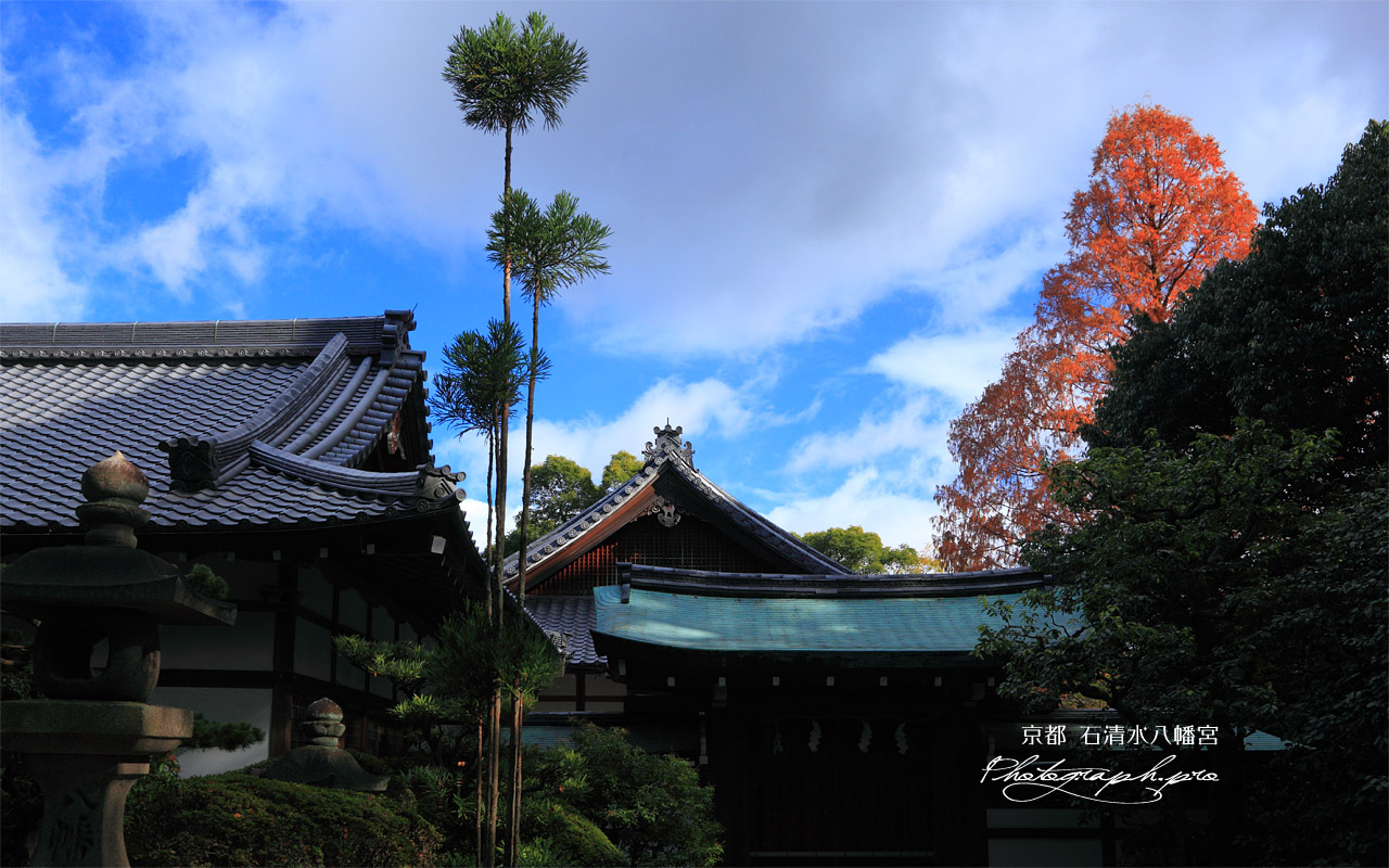 石清水八幡宮 紅葉の書院 壁紙