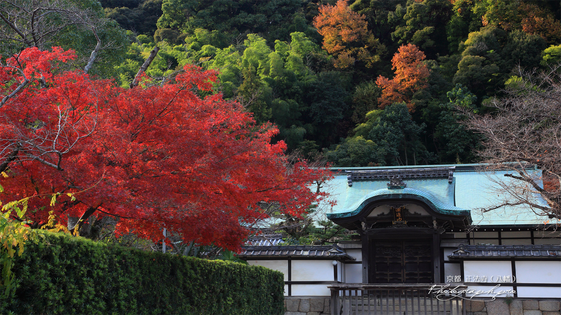 正法寺 紅葉と唐門