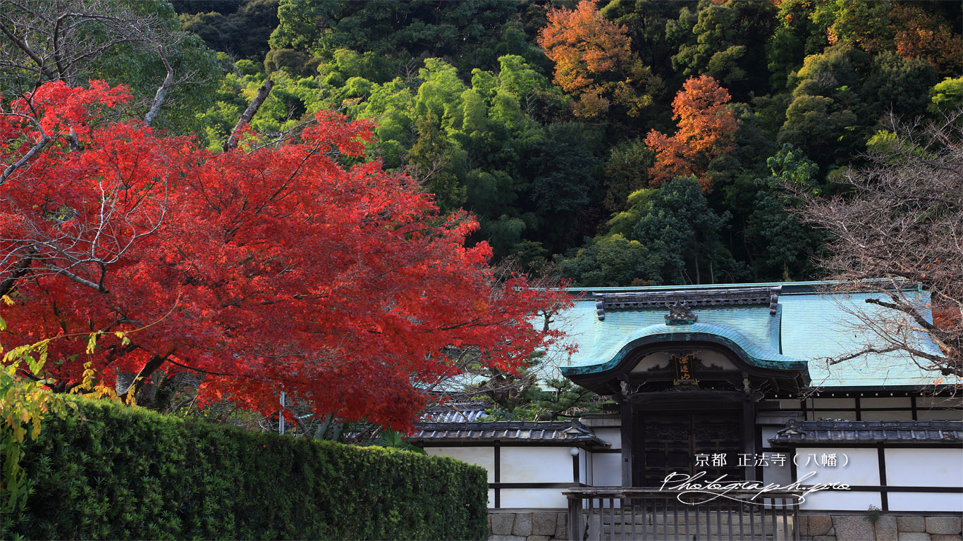 正法寺 紅葉と唐門 壁紙
