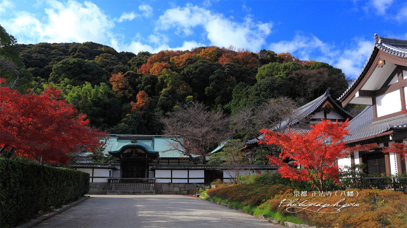 正法寺 紅葉の正法寺山と堂宇 壁紙