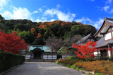 正法寺 紅葉の正法寺山と堂宇