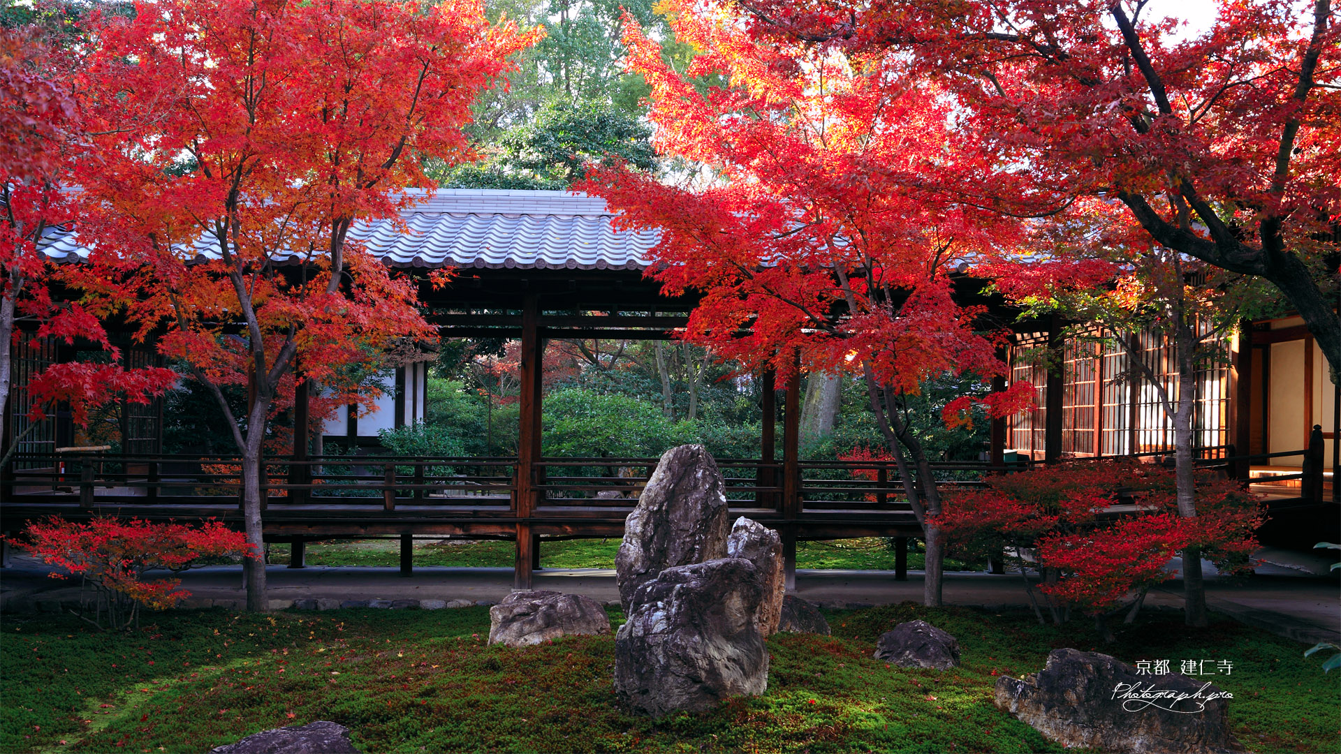 建仁寺 潮音庭の紅葉2011