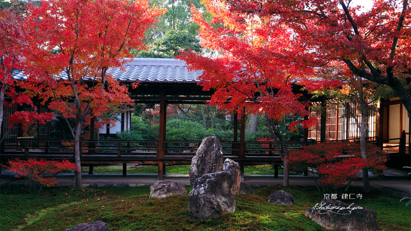 建仁寺 潮音庭の紅葉2011 壁紙