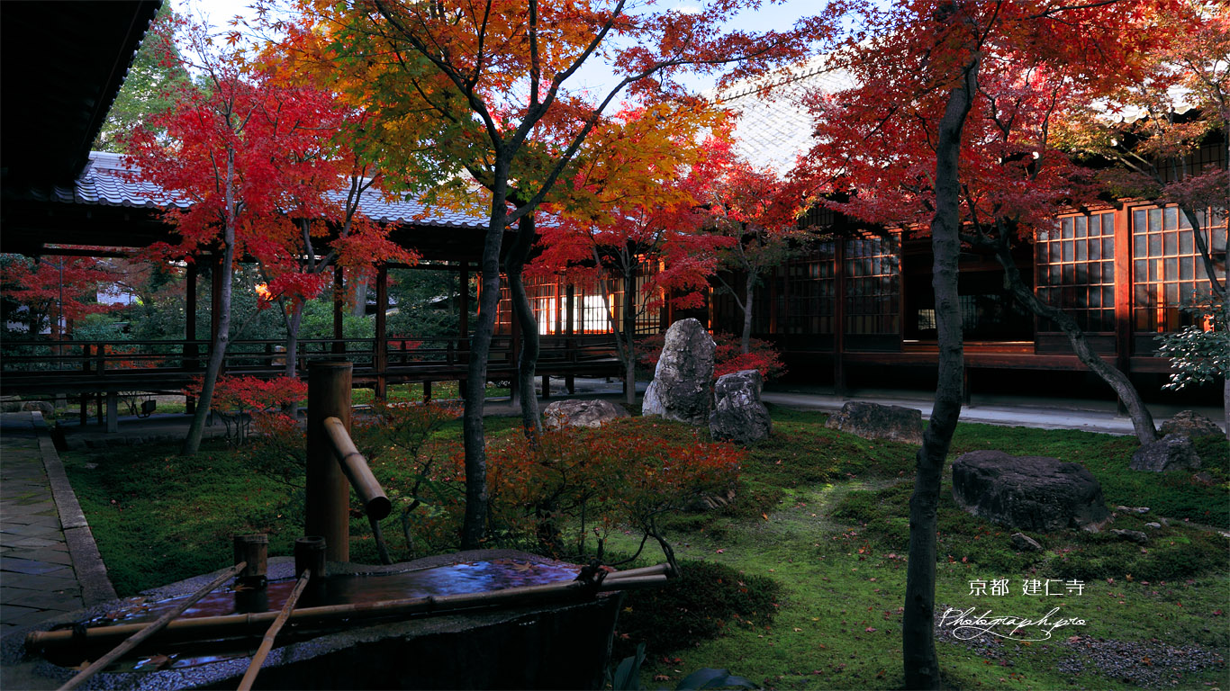 建仁寺 手水鉢と紅葉の潮音庭 壁紙