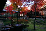 建仁寺 手水鉢と紅葉の潮音庭