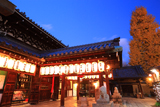 禅居庵 宵の摩利支天堂と銀杏黄葉