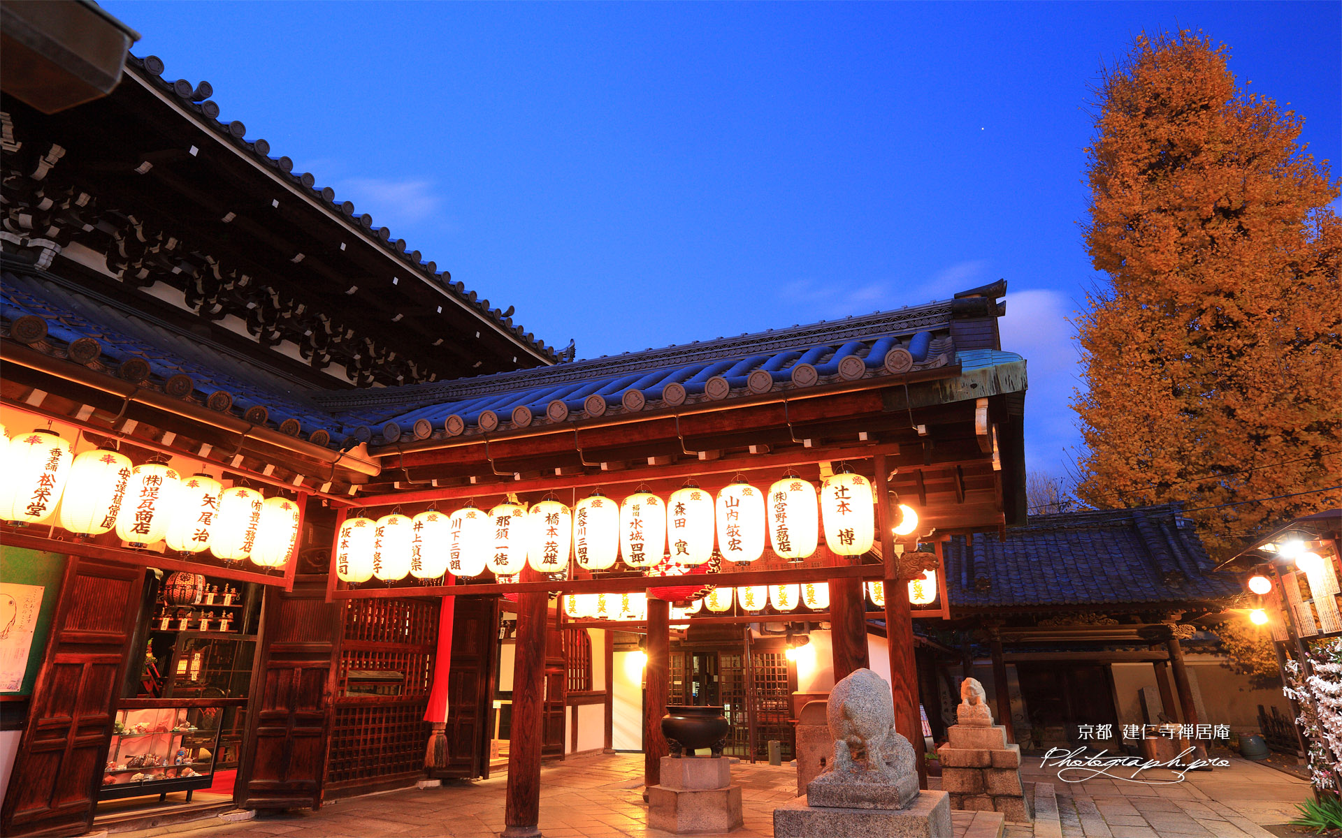 禅居庵 宵の摩利支天堂と銀杏黄葉