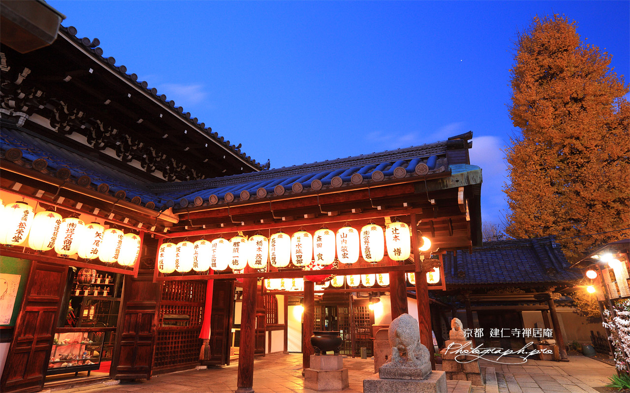 禅居庵 宵の摩利支天堂と銀杏黄葉 壁紙