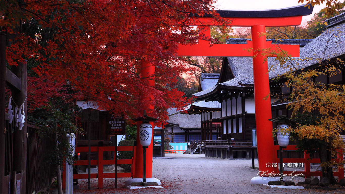下鴨神社 紅葉と本宮 壁紙