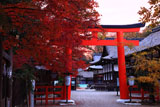 下鴨神社 紅葉と本宮