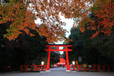 下鴨神社 紅葉と大鳥居