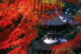 宝塔寺
