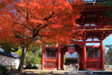宝塔寺 紅葉と仁王門