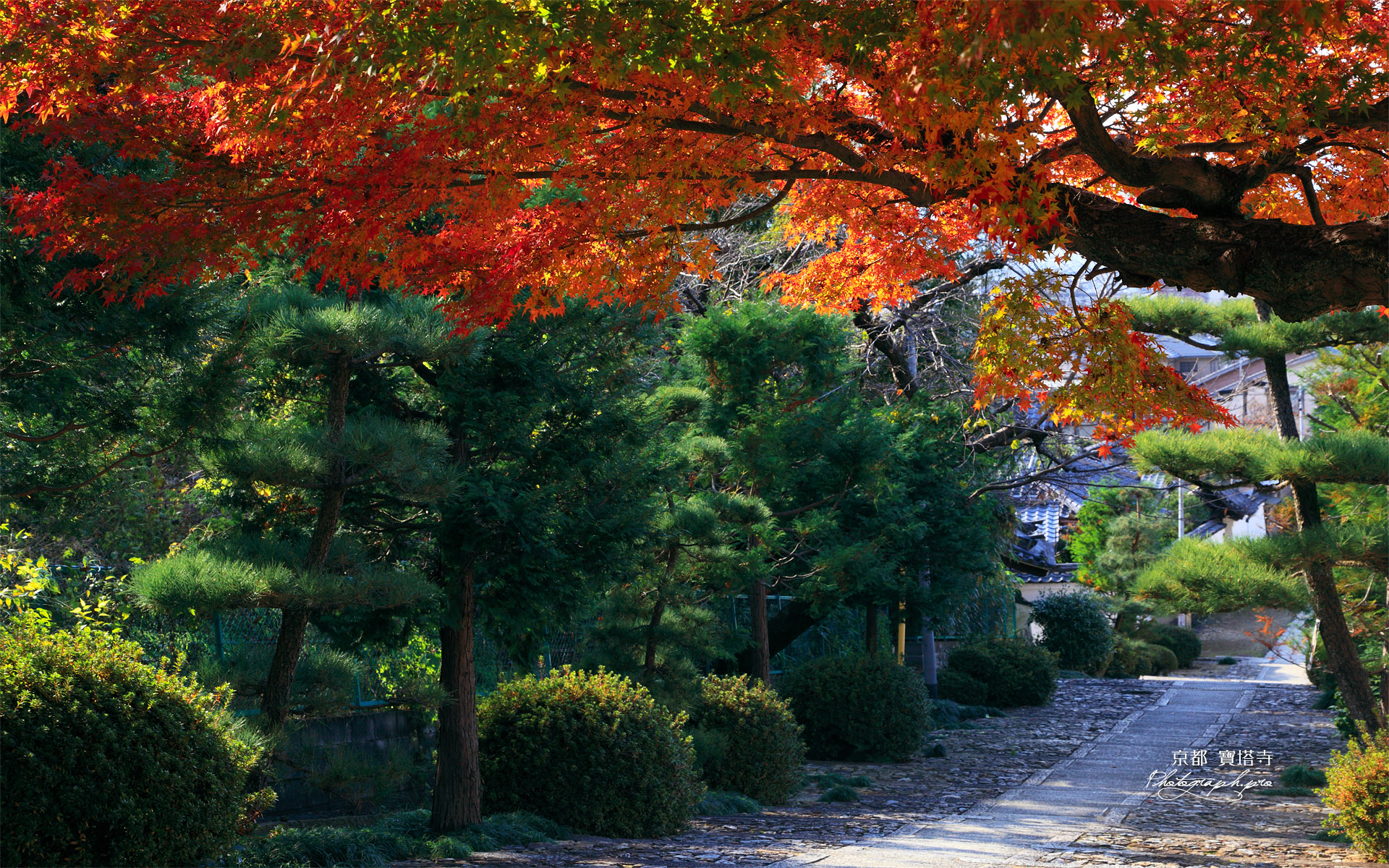 宝塔寺 紅葉と参道