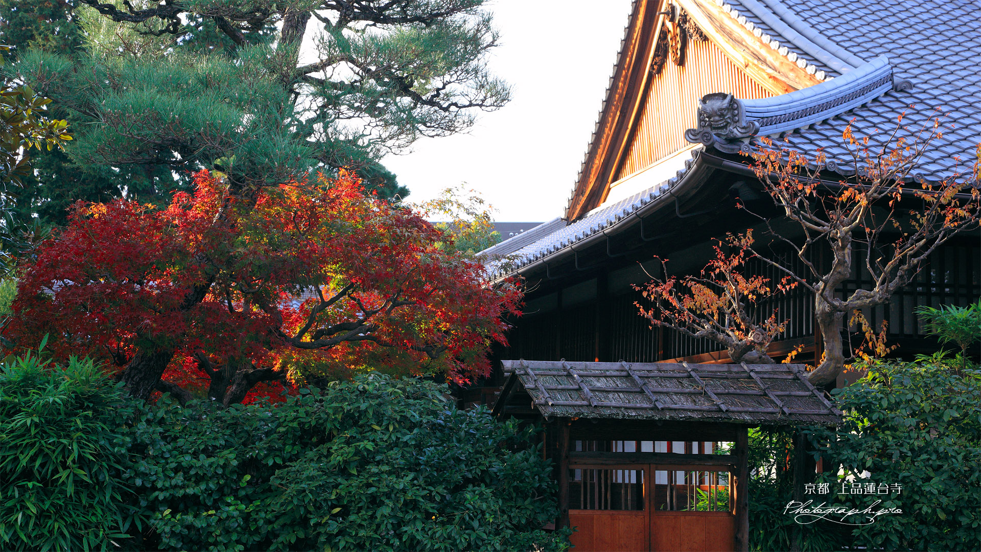 上品蓮台寺 紅葉と本坊