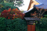 上品蓮台寺 紅葉と本坊