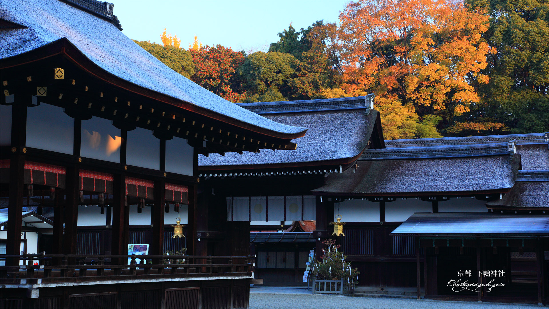 下鴨神社 降霜の本宮