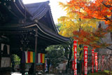 京都六角堂 本堂と冬紅葉