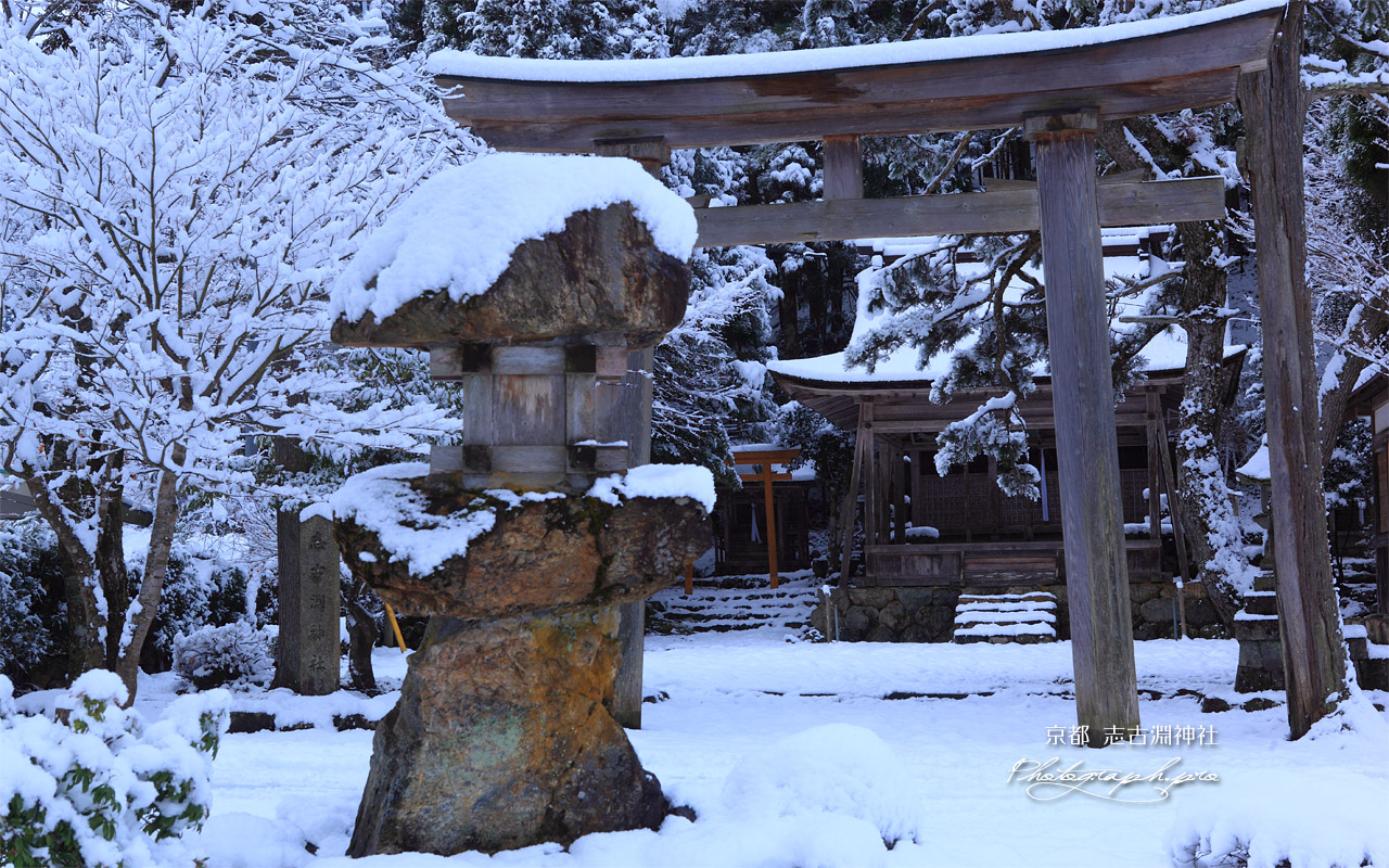 京都久多 雪化粧の志古淵神社 壁紙