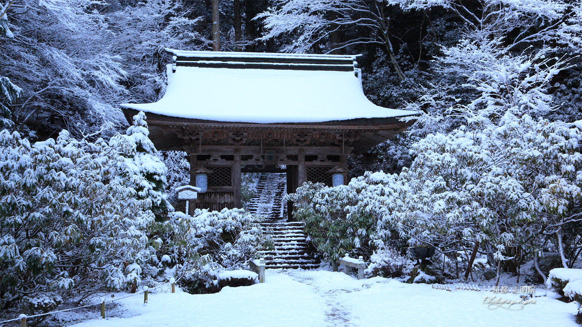 志明院 雪化粧の仁王門