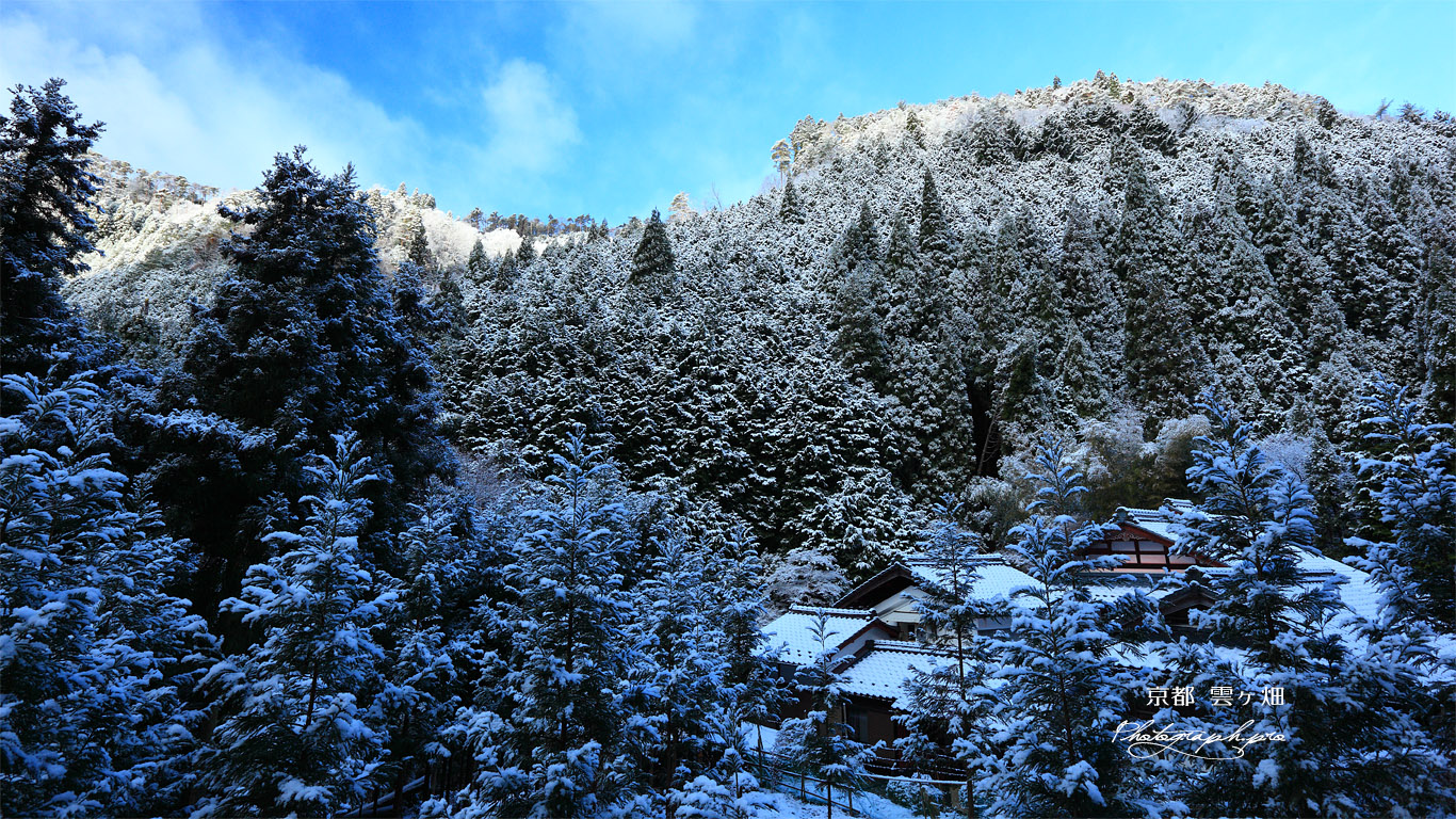 雲ケ畑 雪景色の出谷町 壁紙