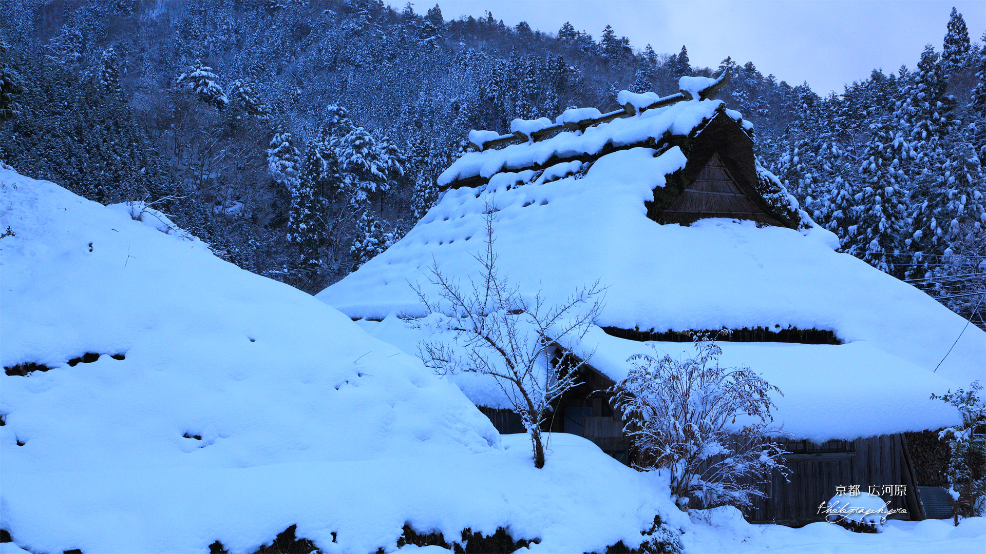 京都広河原 雪化粧の杜若家