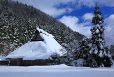 広河原