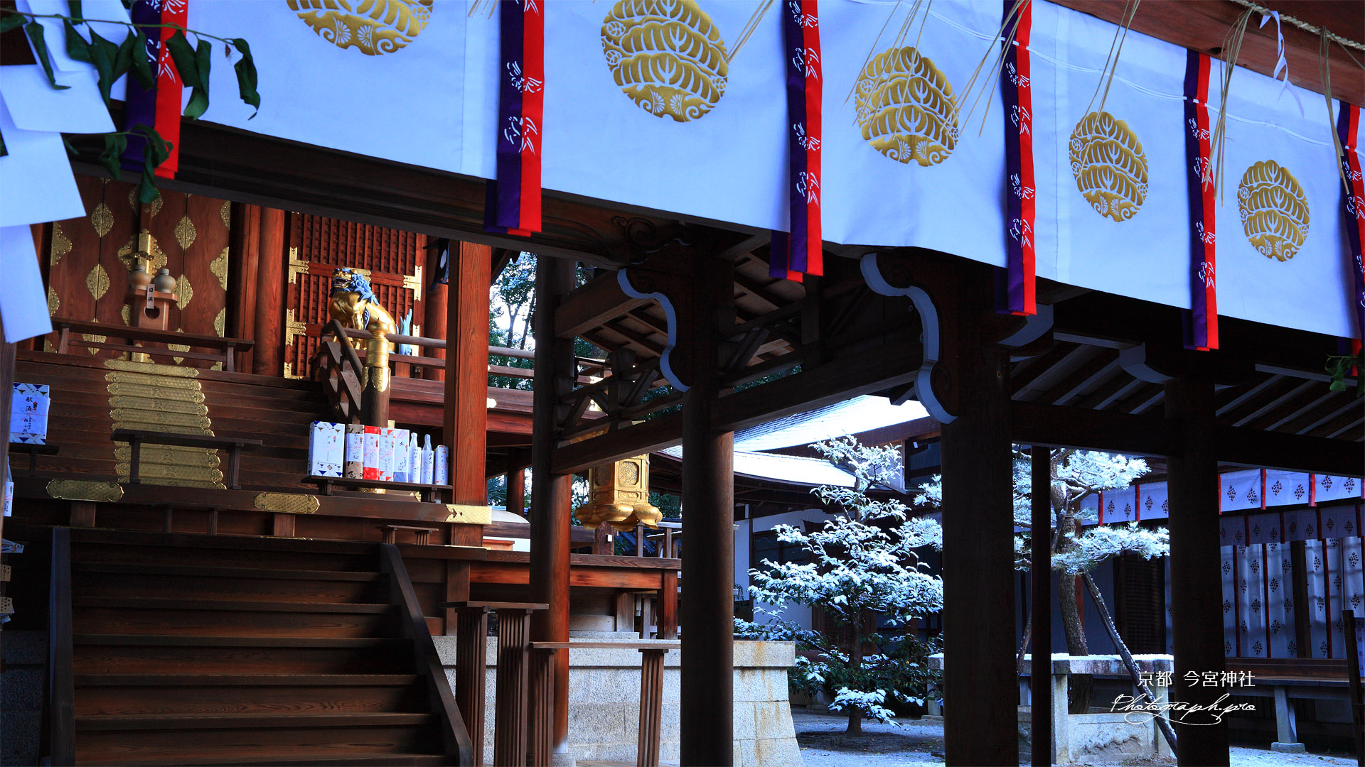 今宮神社 淡雪の本殿