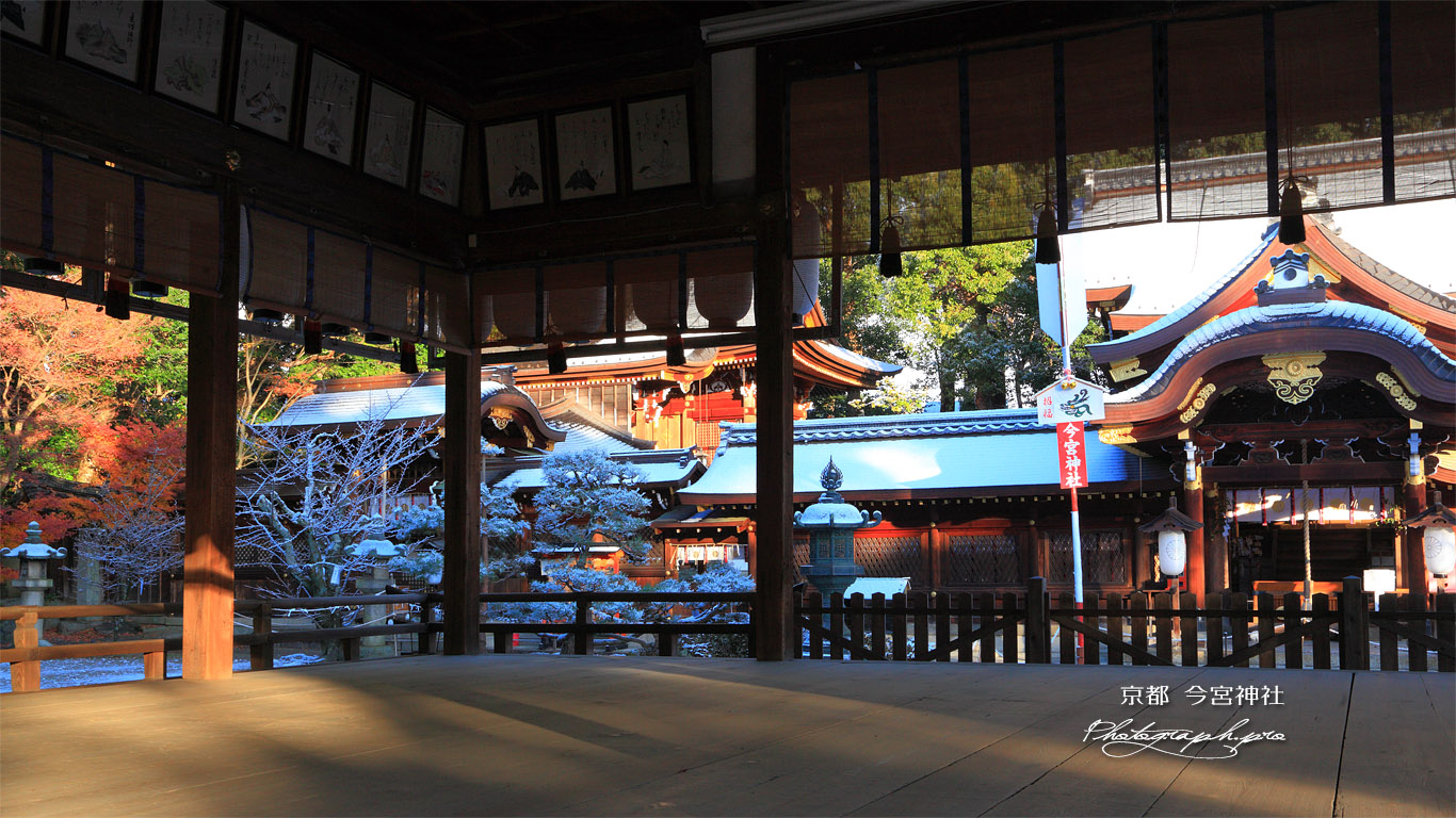 今宮神社 拝殿越しの淡雪の本殿 壁紙