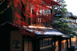 今宮神社 名残の紅葉と一和