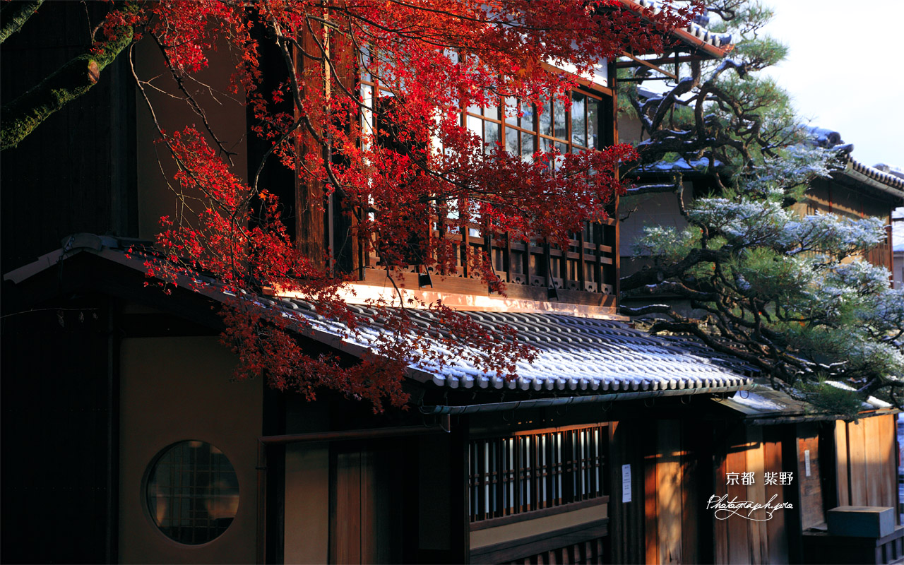 今宮神社 名残の紅葉と一和 壁紙