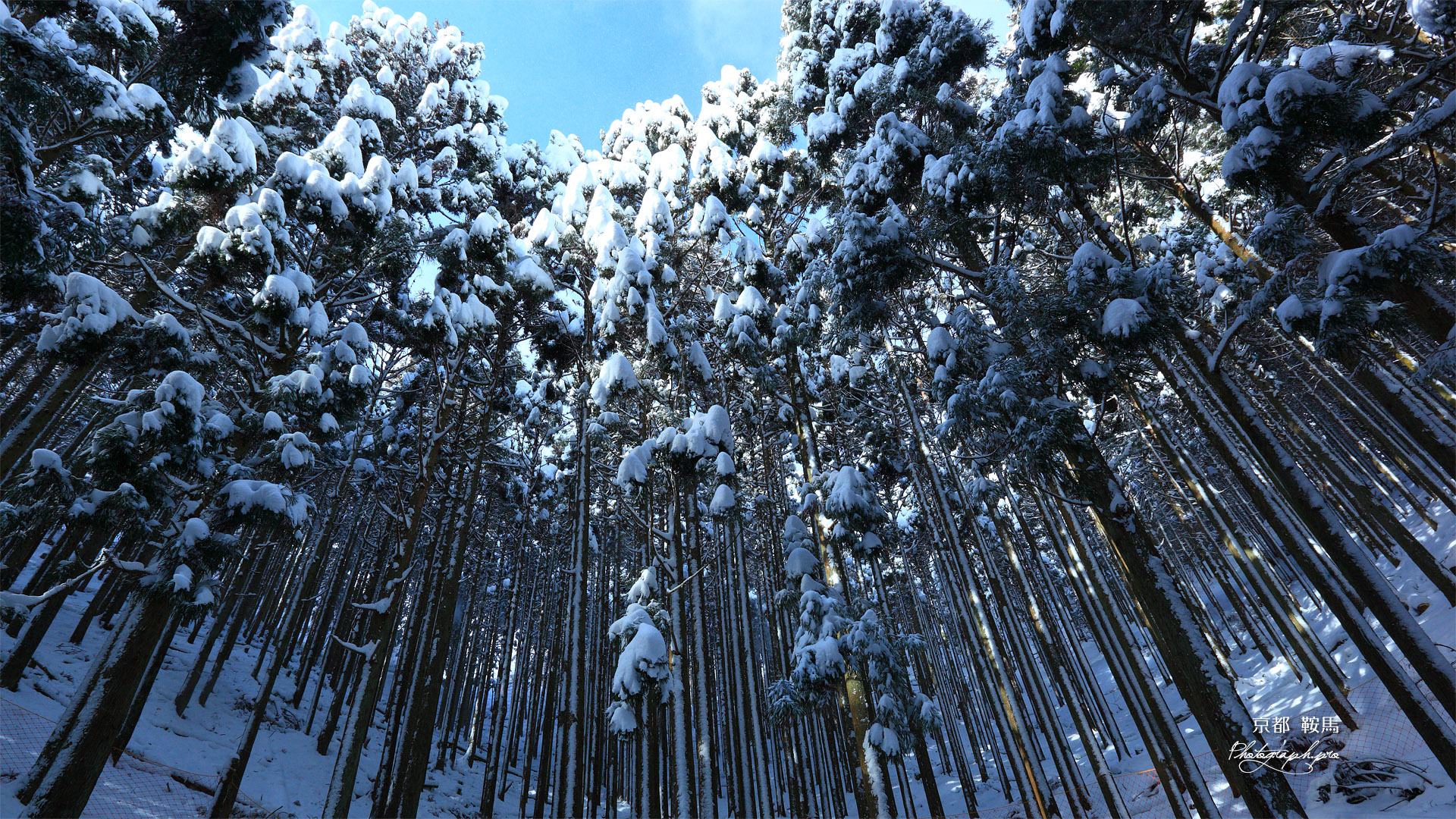 鞍馬 花脊峠の雪景色