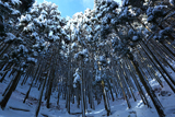鞍馬 花脊峠の雪景色