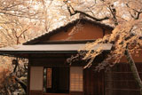 京都神光院 雪の花と蓮月庵
