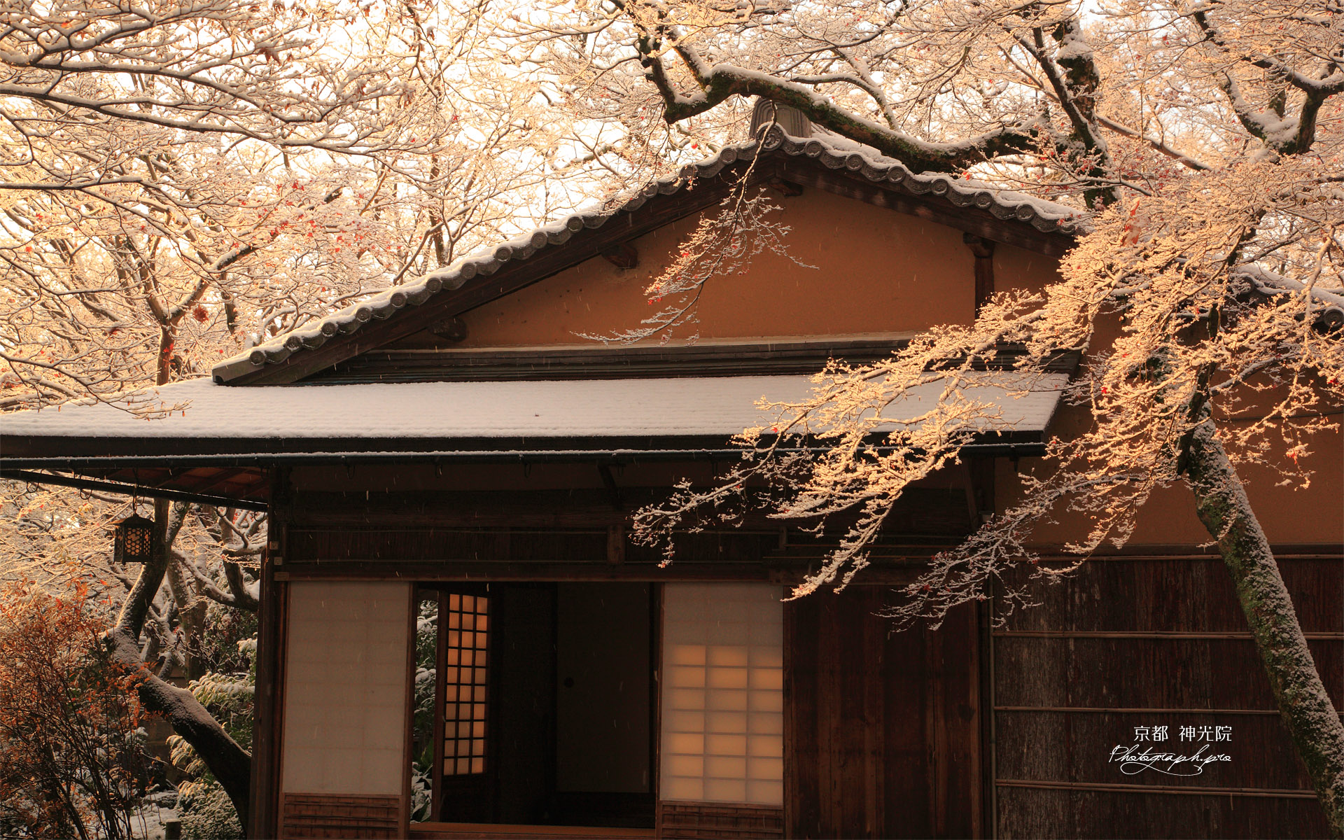 京都神光院 雪の花と蓮月庵