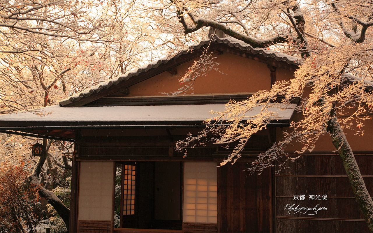 京都神光院 雪の花と蓮月庵 壁紙