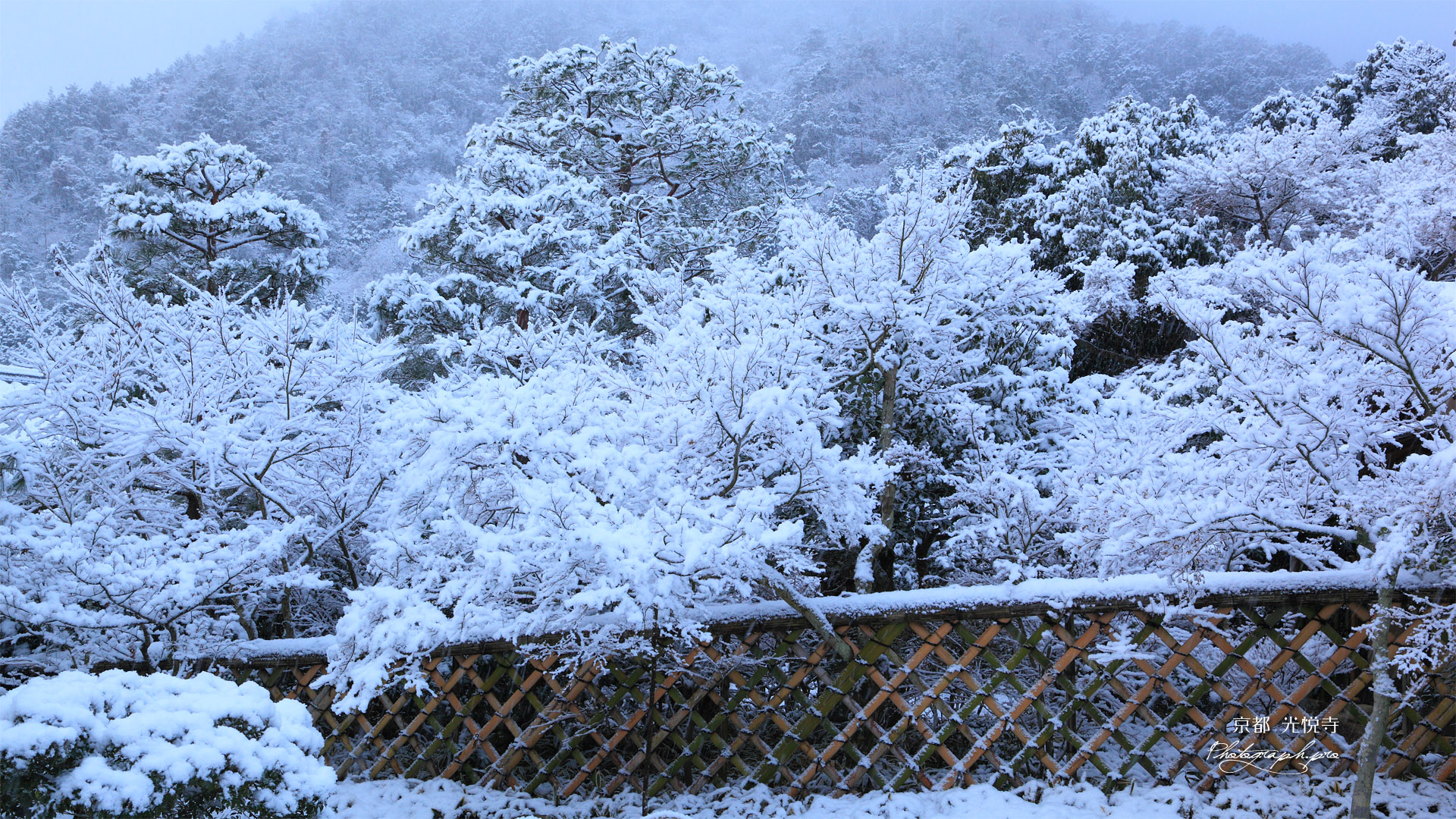 光悦寺 雪化粧の鷲ヶ峰
