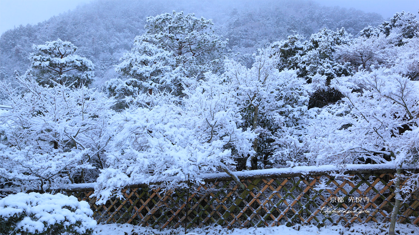 光悦寺 雪化粧の鷲ヶ峰 壁紙